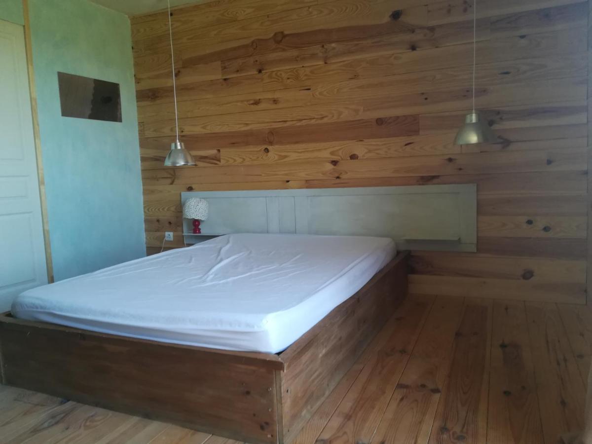 maison naturelle Sigonce Extérieur photo